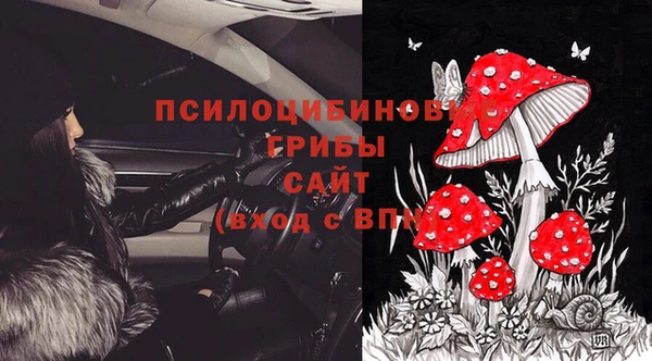 мдпв Абаза