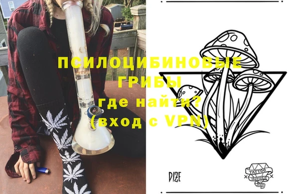 мдпв Абаза